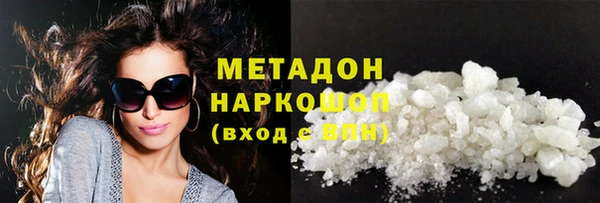 сатива Новодвинск