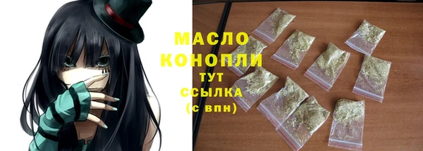 сатива Новодвинск