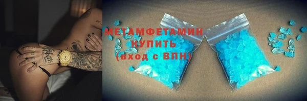 сатива Новодвинск