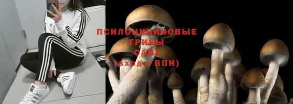 бошки Новозыбков