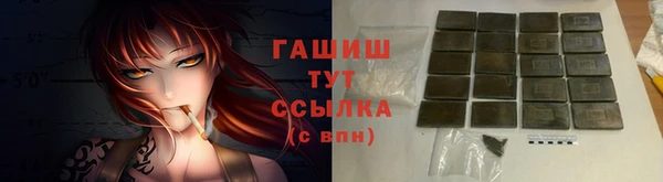 сатива Новодвинск