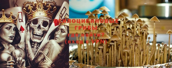хмурый Нягань