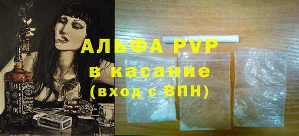 сатива Новодвинск