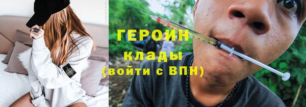 сатива Новодвинск