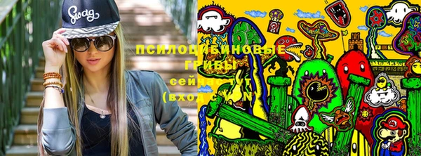 бошки Новозыбков